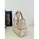 Lady Dior Tiger Embroidery Series, Size: 24cm  