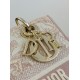 Lady Dior Tiger Embroidery Series, Size: 24cm  