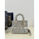 Lady Dior Tiger Embroidery Series, Size: 24cm  