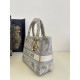 Lady Dior Tiger Embroidery Series, Size: 24cm  