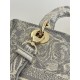 Lady Dior Tiger Embroidery Series, Size: 24cm  