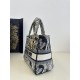 Lady Dior Tiger Embroidery Series, Size: 24cm  