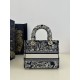 Lady Dior Tiger Embroidery Series, Size: 24cm  