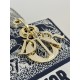 Lady Dior Tiger Embroidery Series, Size: 24cm  