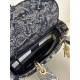 Lady Dior Tiger Embroidery Series, Size: 24cm  