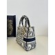 Lady Dior Tiger Embroidery Series, Size: 24cm  