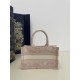 Spring/Summer Tote, Exquisite Tiger Embroidery, Size: 21.5*13*7.5cm  