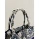 Medium Spring/Summer Tote, Sun Embroidery Pattern, Size: 36*18*28cm  