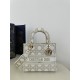 Five-Compartment Lady Dior Embroidered Spring/Summer Series, Gold Thread Embroidery, Size: 24*11*20cm