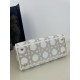 Five-Compartment Lady Dior Embroidered Spring/Summer Series, Gold Thread Embroidery, Size: 24*11*20cm