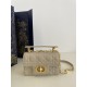 Small Jolie Pearl Chain Bag Series, Cowhide, Size: 19*6*12cm