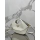 Dumpling Bag Handbag Model: 1BA421