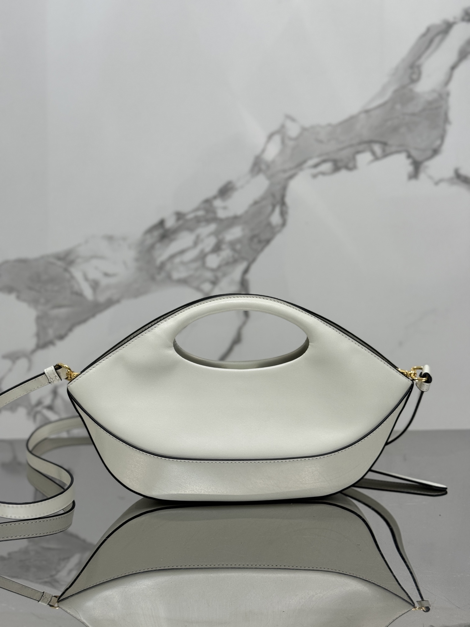 Dumpling Bag Handbag Model: 1BA421