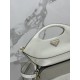 Dumpling Bag Handbag Model: 1BA421