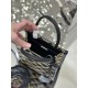 Embroidered Fabric Tote Bag (Small Size) with Imported Saffiano Leather and Unique Embroidered Fabric, Style Number: 1BA355