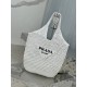 Wine coconut weave tote bag, wine coconut fiber material, Model No: 1BG424  