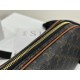 CELINE | Multicolor Logo Printed Cowhide Leather Handbag, Imported Original Leather Material with Excellent Texture