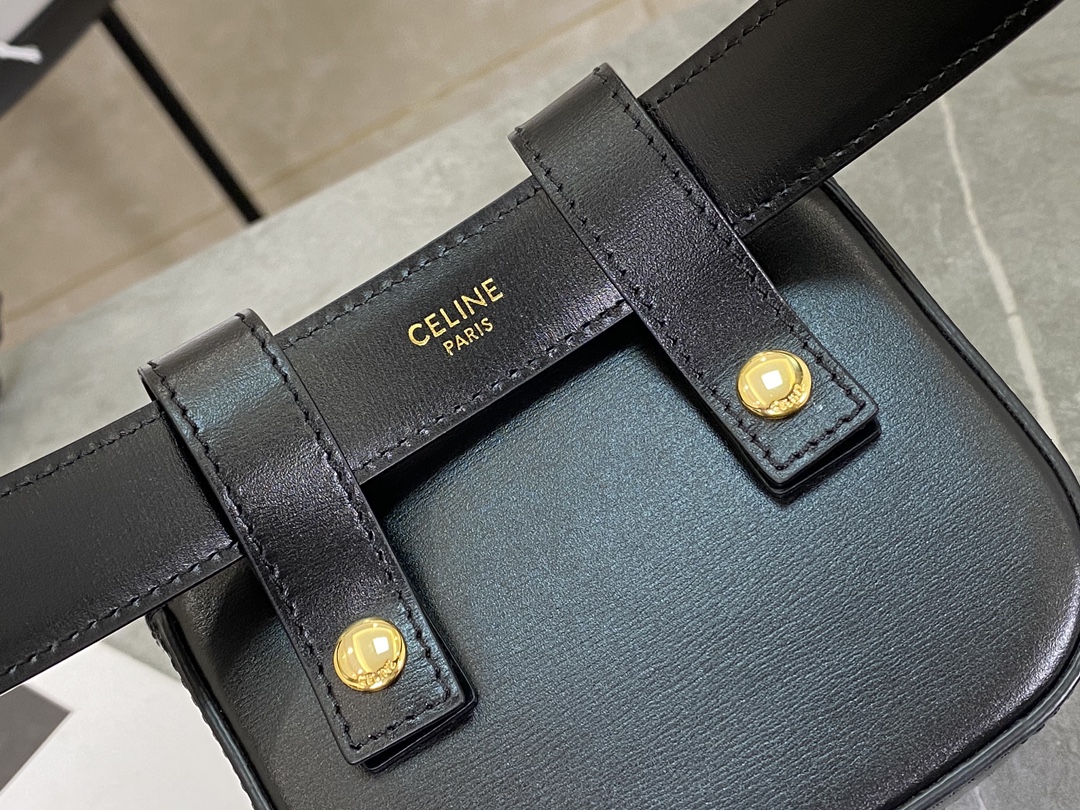 CELINE | TRIOMPHE MINI Full Leather Black Mini Waist Bag