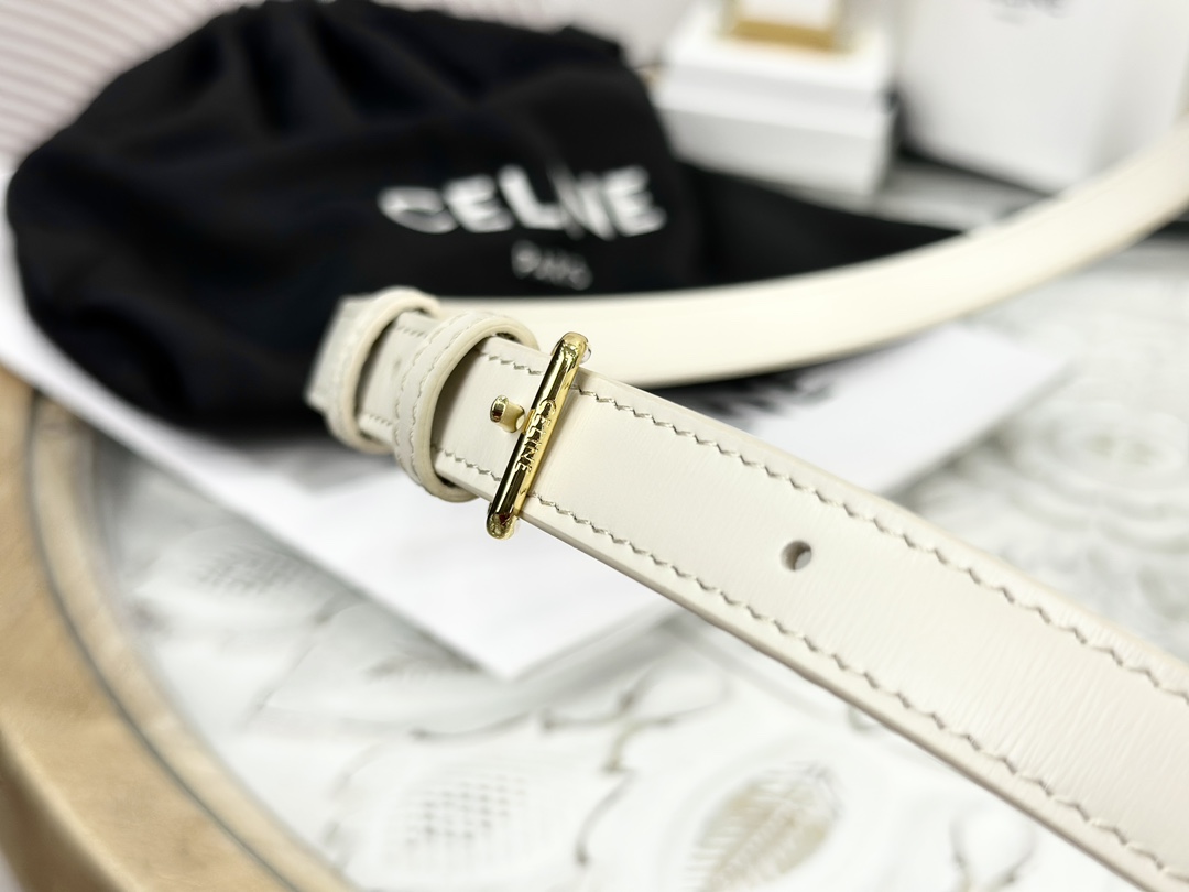 CELINE | Triomphe Ivory White Medium Box