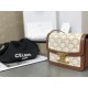 CELINE | Triomphe Box Vintage Toiletry Bag