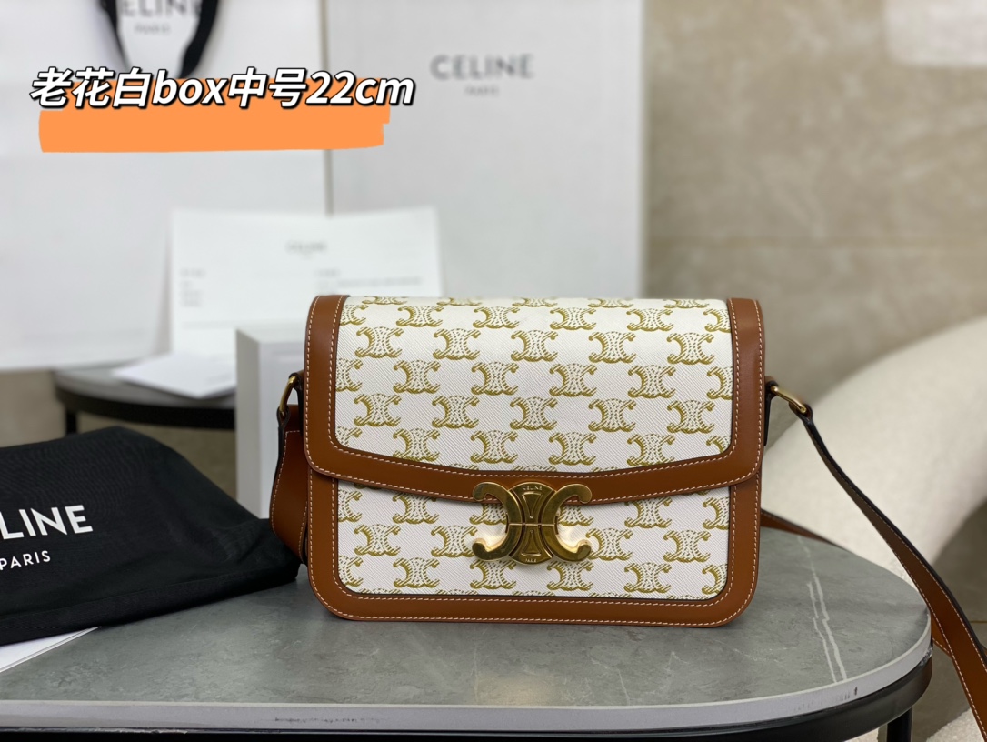 CELINE | Medium TRIOMPHE Box, Old Flower Medium Tofu Bag  