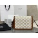 CELINE | Medium TRIOMPHE Box, Old Flower Medium Tofu Bag  