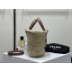 TEEN TRIOMPHE CELINE CLASSIC Palm Leaf Leather Tote Small  