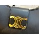 Celine TRIOMPHE Leather  