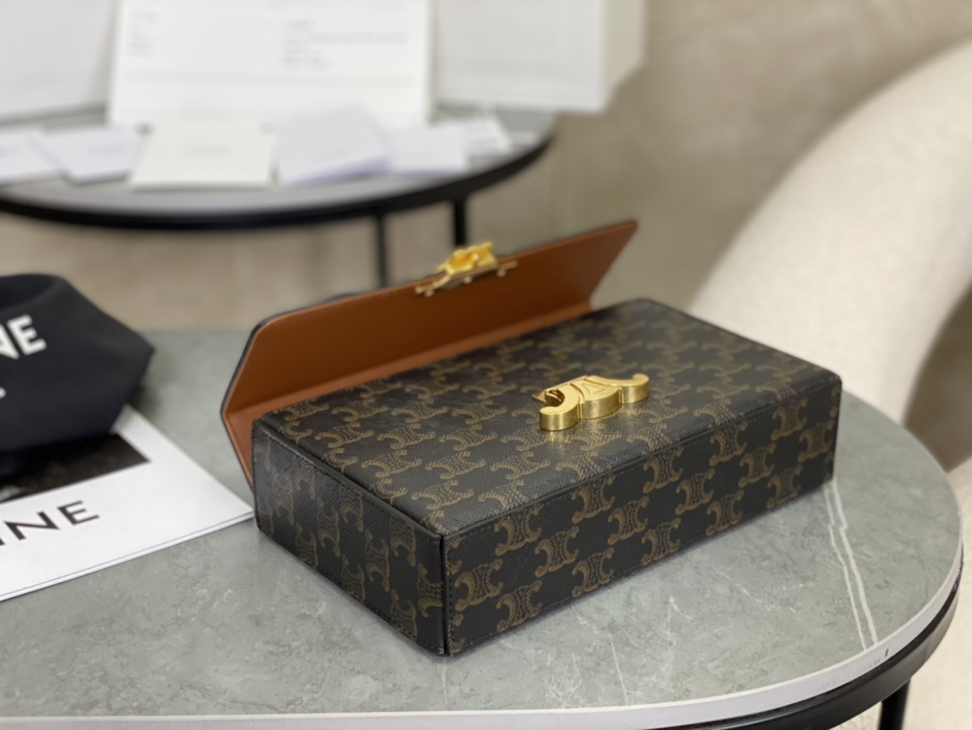 Celine | Triomphe Box Bag  