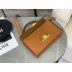 Celine | Triomphe Box Bag  