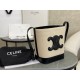 Celina Triomphe Canvas Small Bucket, Imported Leather Material