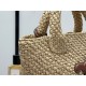 Triomphe Small Classic Plant Material and Soft Leather Tote Bag, Handwoven Handbag