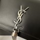 YSL Kate 19cm Smooth Leather Classic Fringed Chain Bag  