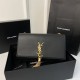 South African Leather YSL Kate 24CM Fringed Chain Bag  