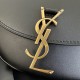 Kaia Small YSL New Saddle Bag 