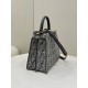 Fendi PEEKABOO Classic Logo Pattern Model no: 80106L