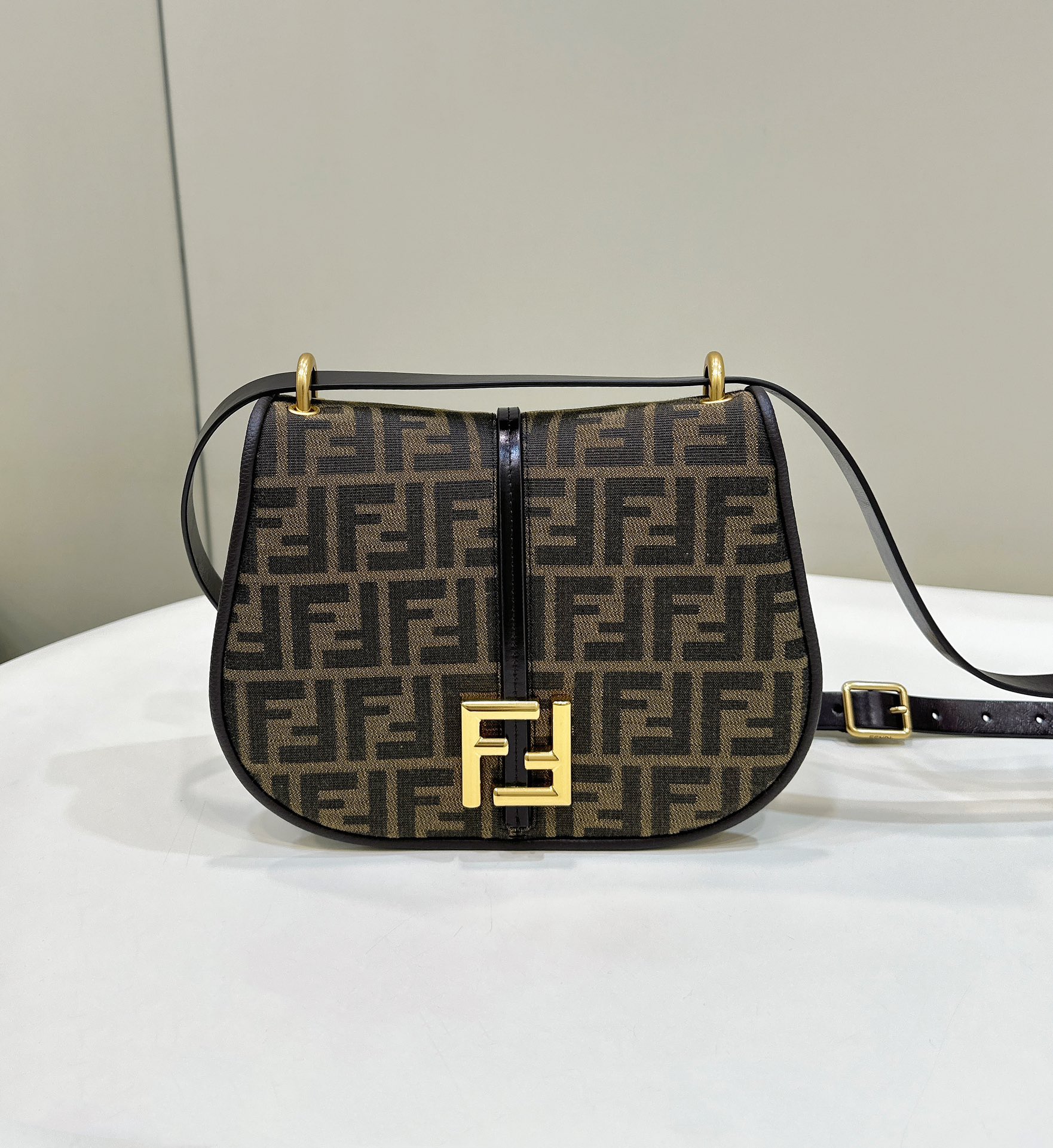 Fendi C'mon Series Vintage Logo Material Model no: 8622AL