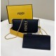 Chain Bag with Single Card Holder Can Also Be Used as Coin Purse Model no: 8BS076